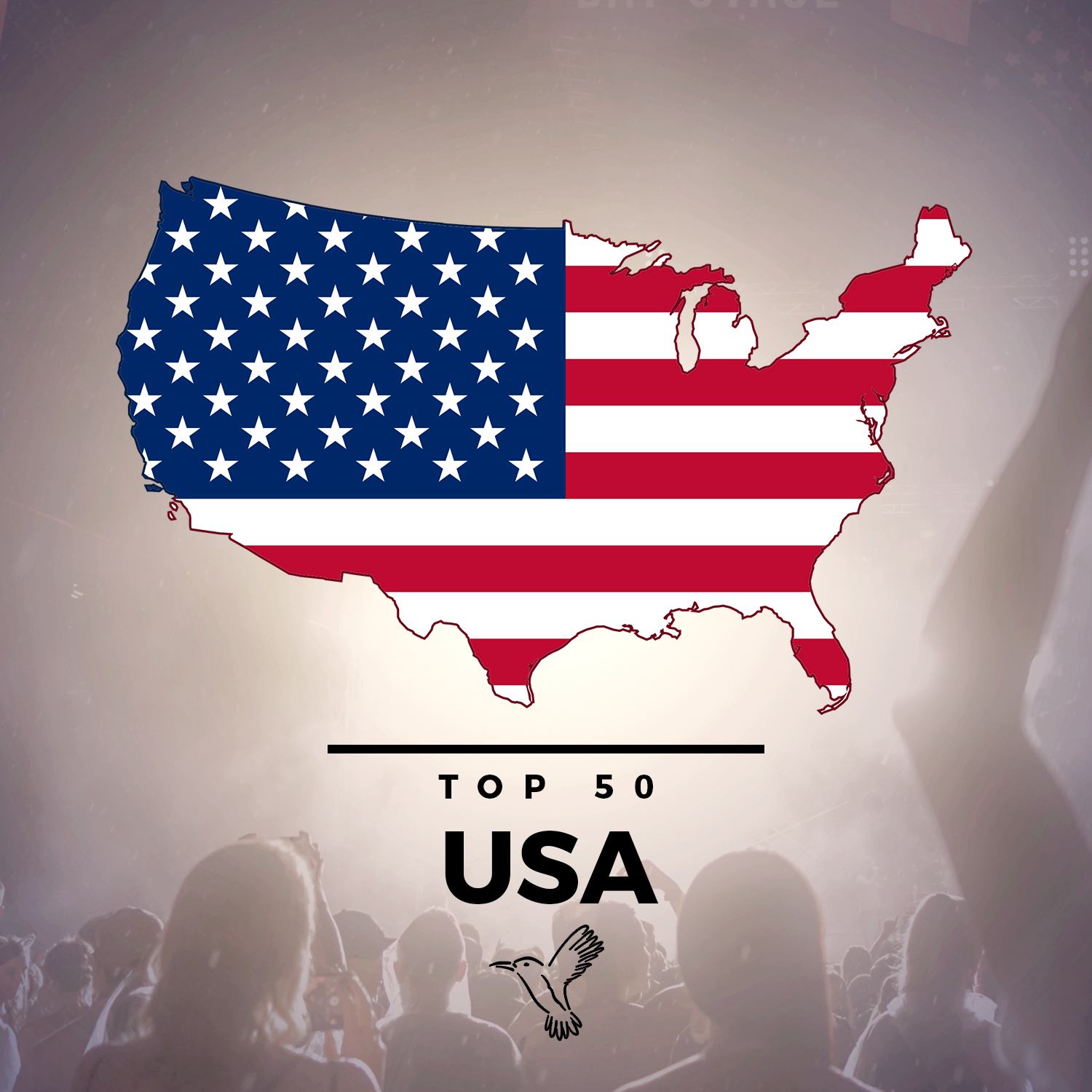 USA Top 50 Playlist - Kolibri Music