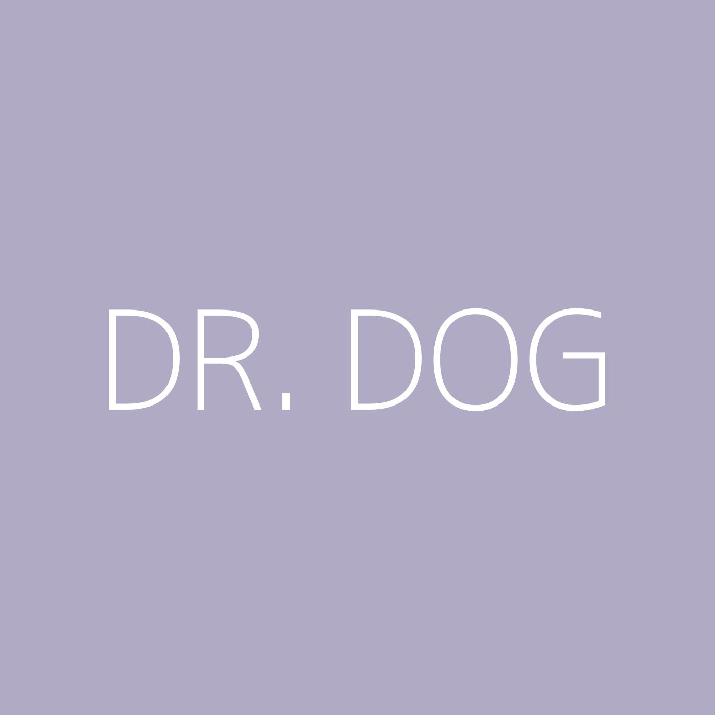 Dr. Dog Playlist Artwork