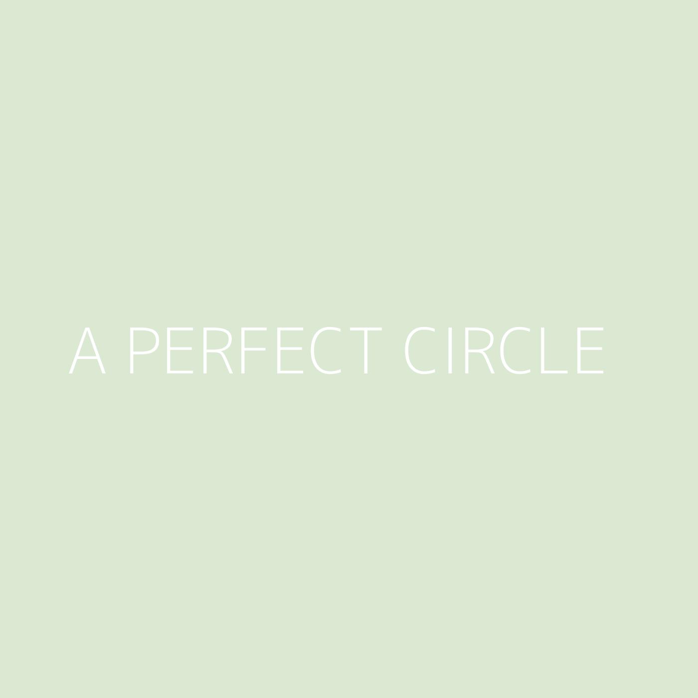 A Perfect Circle Playlist Artwork