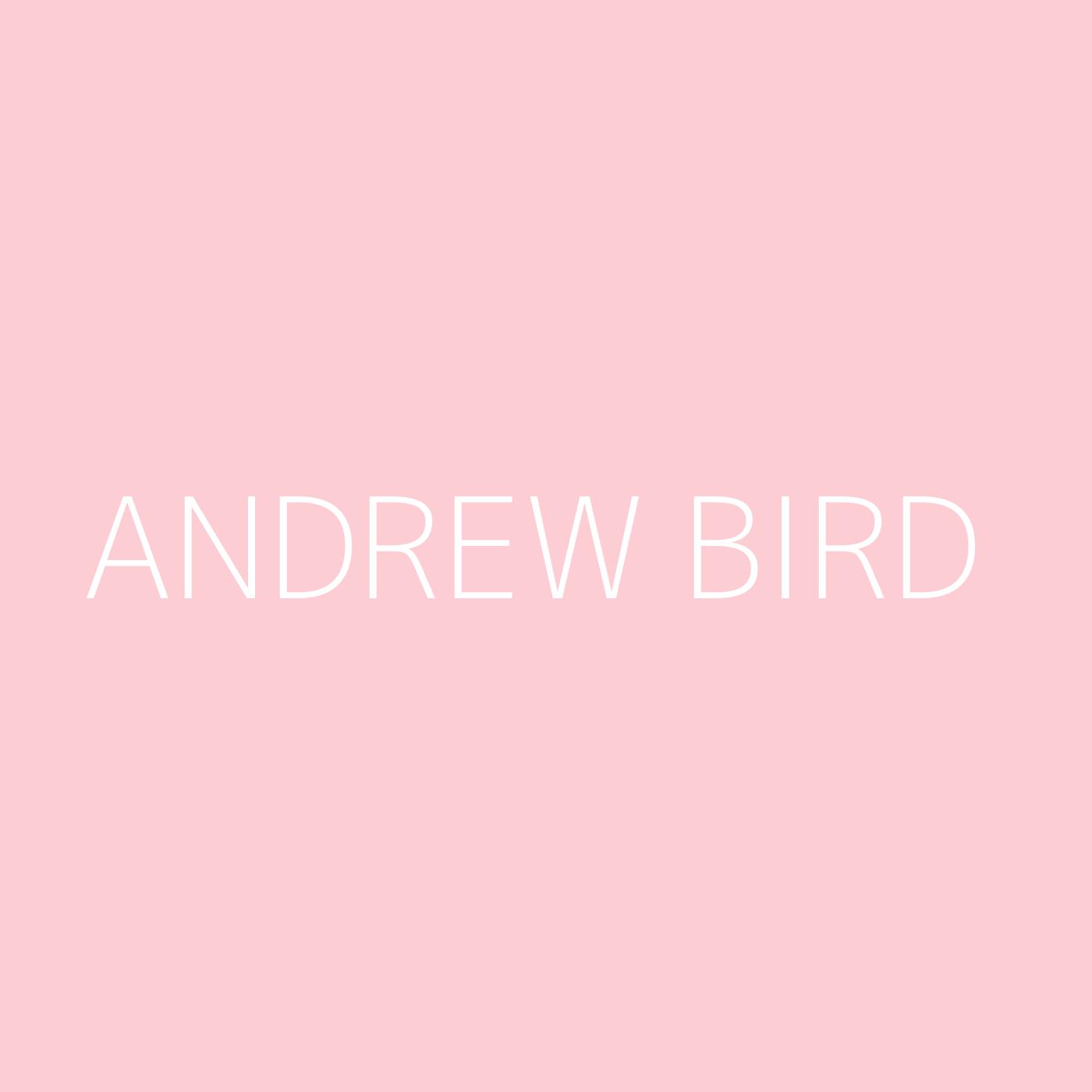 Andrew Bird Playlist Artwork