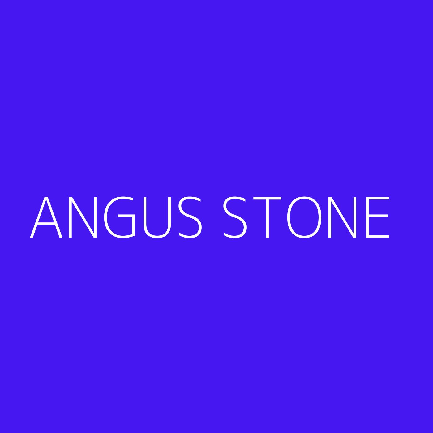 Angus Stone Playlist Artwork