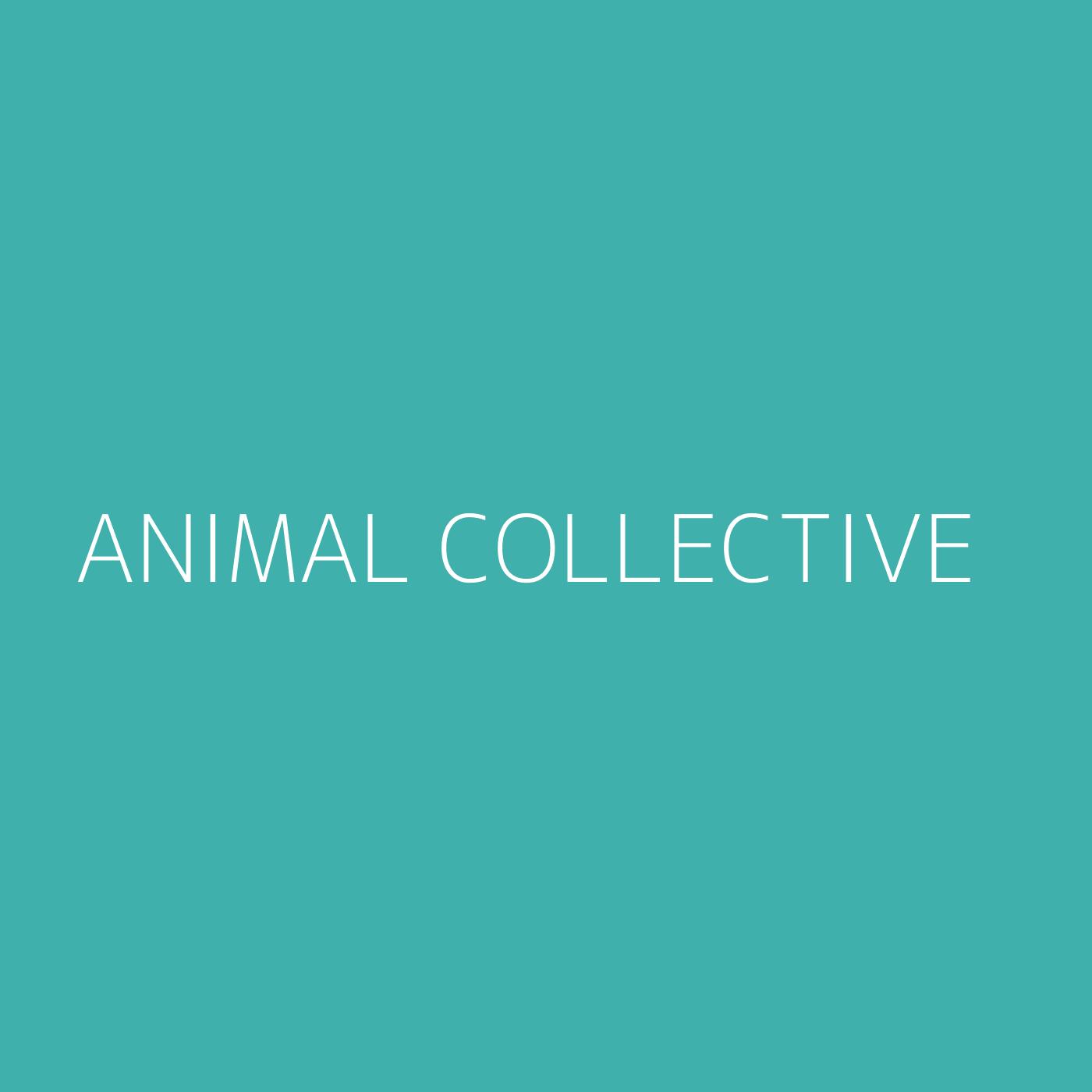 Animal Collective Playlist Artwork