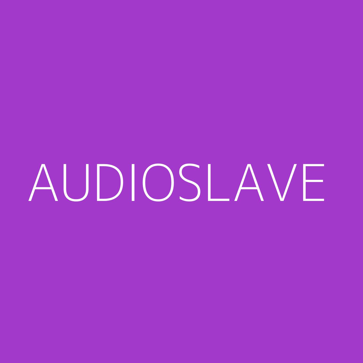 Audioslave Playlist Artwork