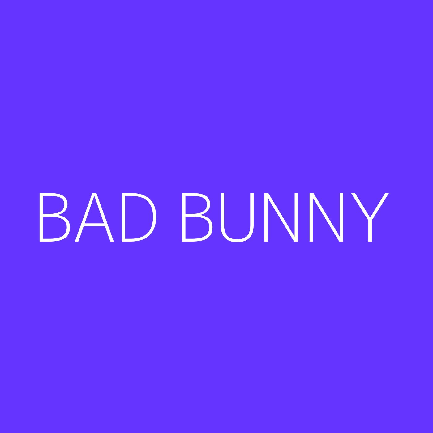 Bad Bunny Playlist Artwork