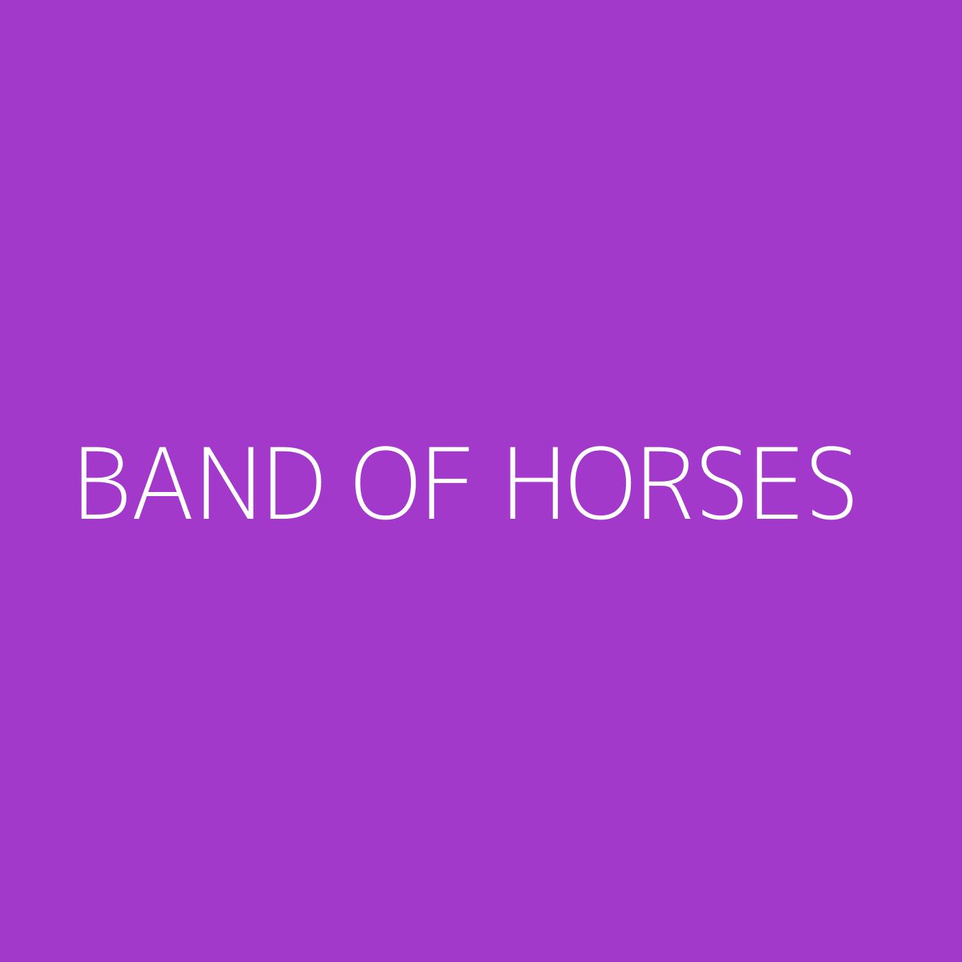 Band of Horses Playlist Artwork