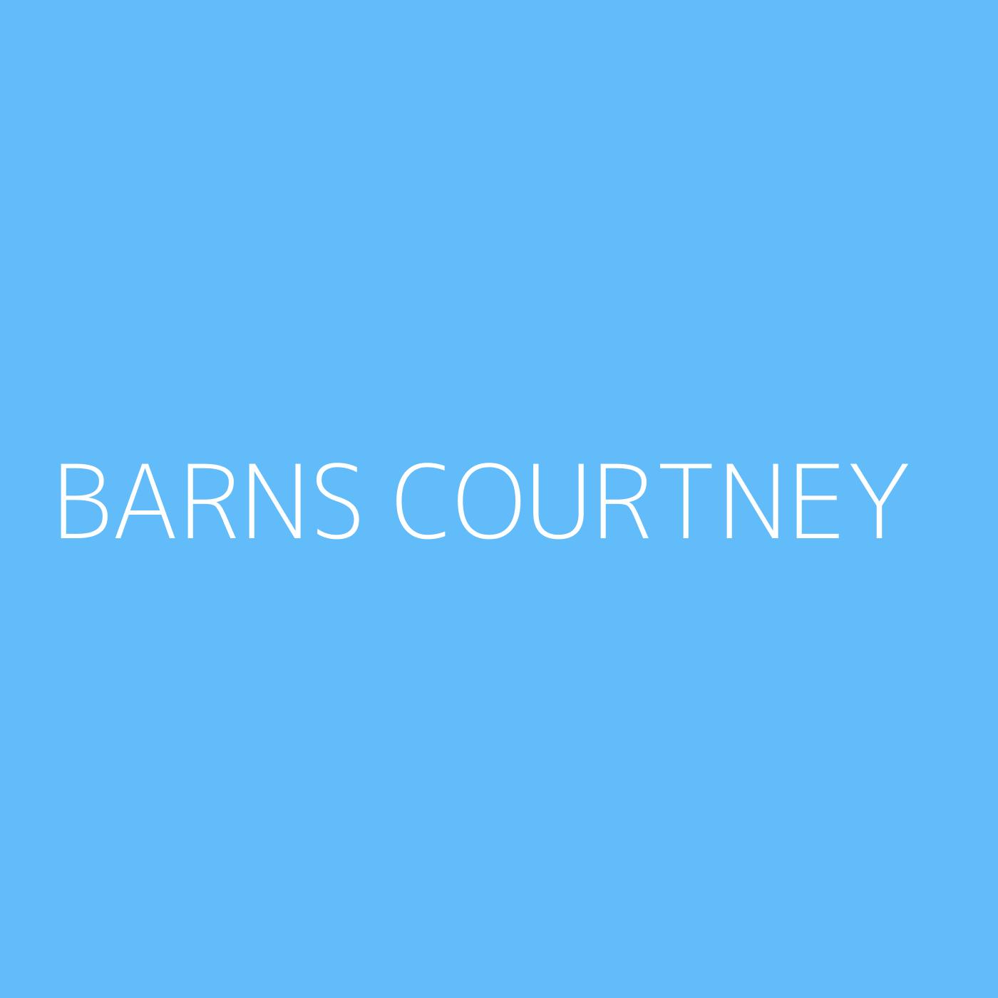 Barns Courtney Playlist Artwork