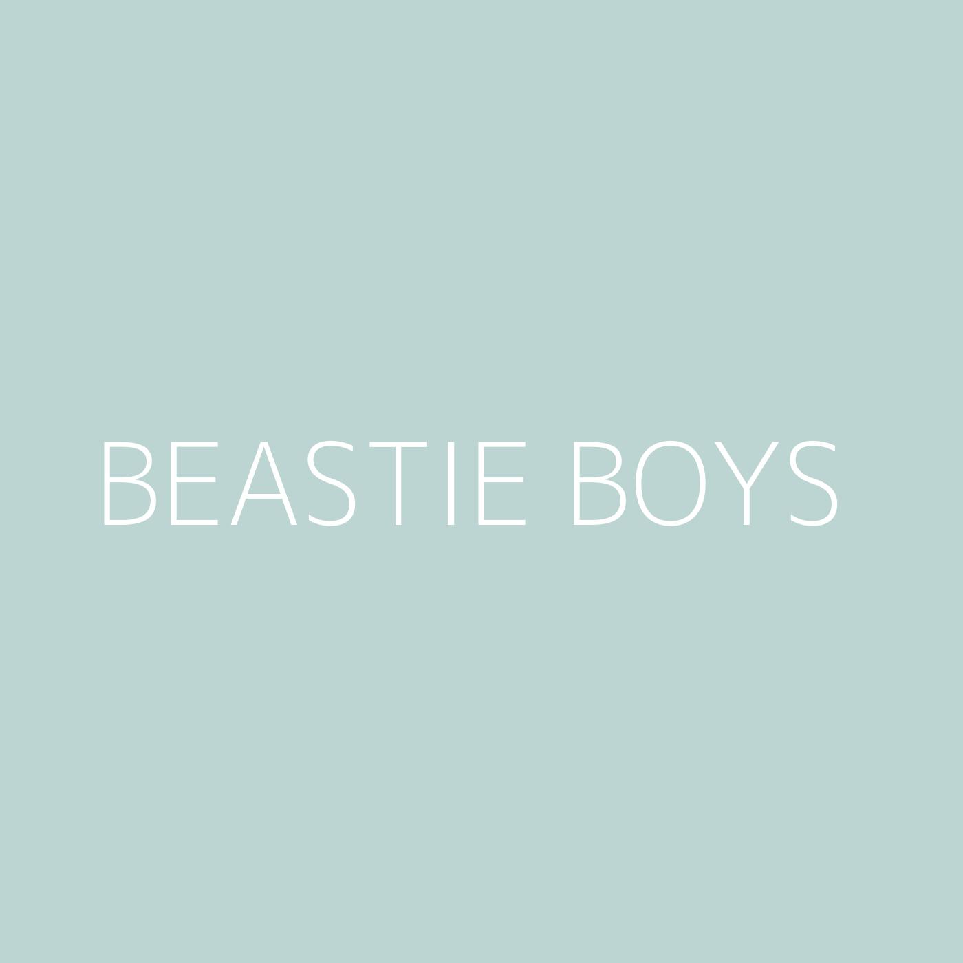 Beastie Boys Playlist Artwork