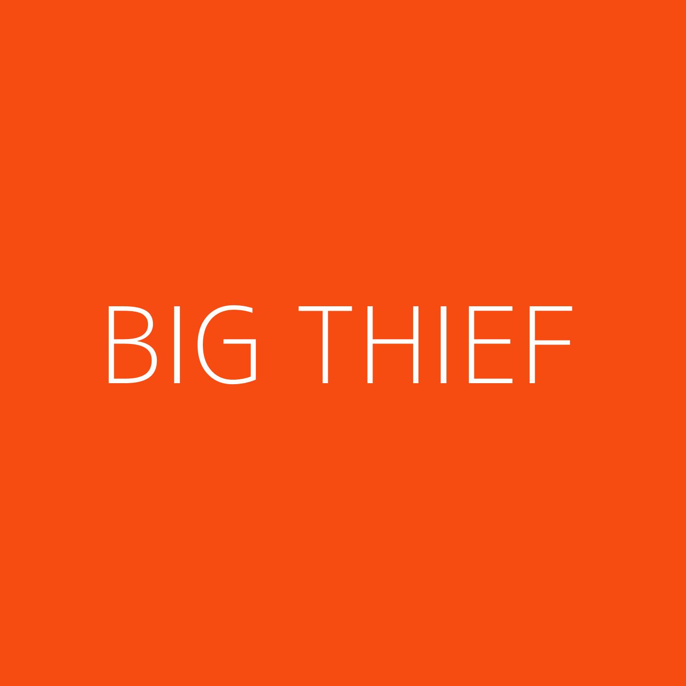 Big Thief Playlist Artwork