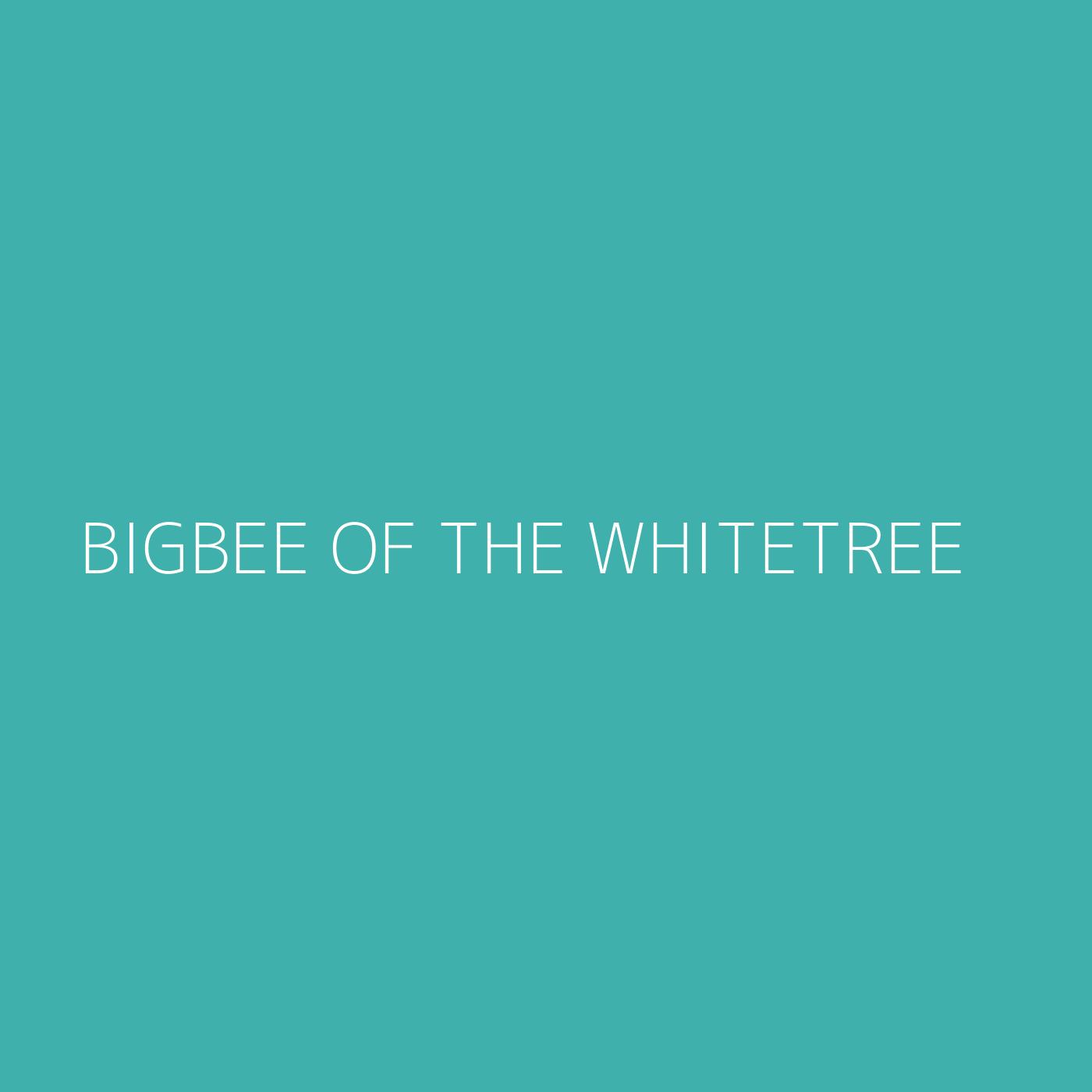 BigBee of the Whitetree Playlist Artwork