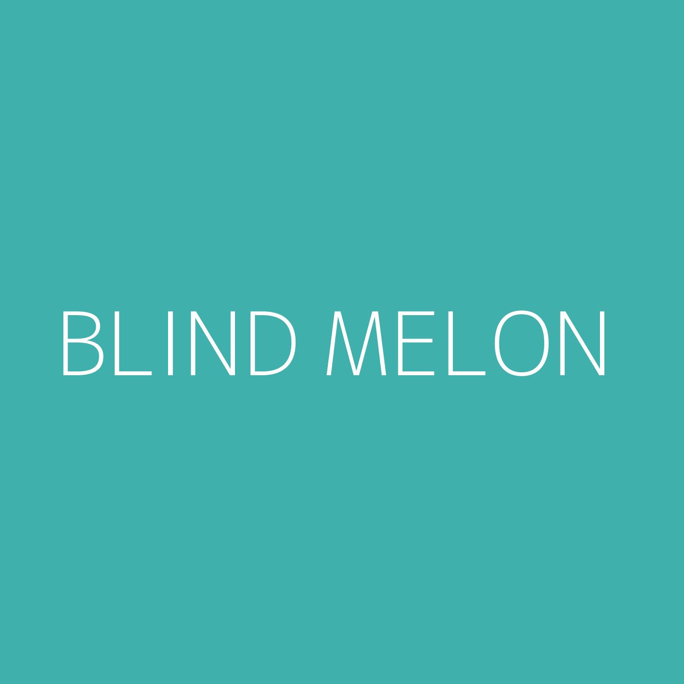 Blind Melon Playlist Artwork