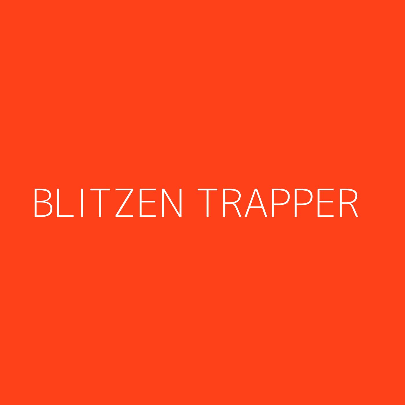 Blitzen Trapper Playlist Artwork