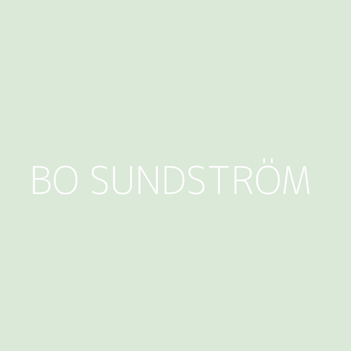 Bo Sundström Playlist Artwork