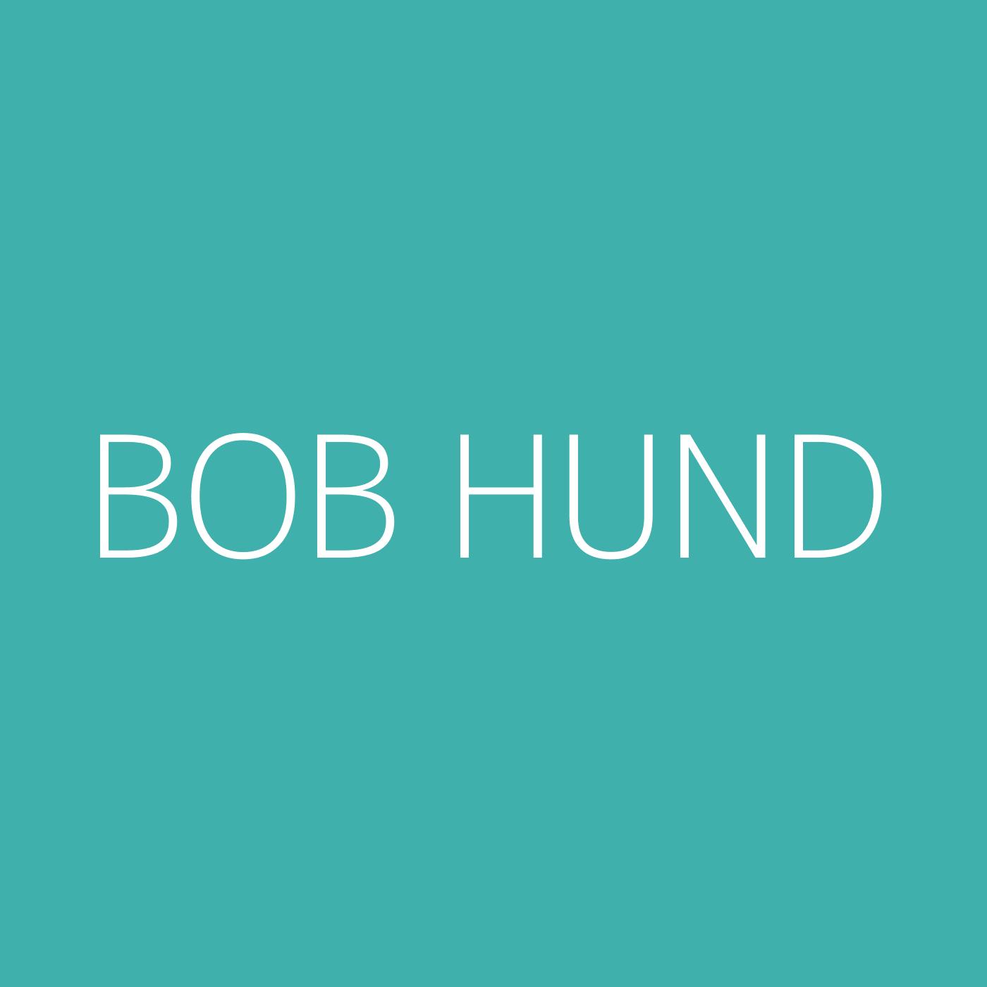 bob hund Playlist Artwork