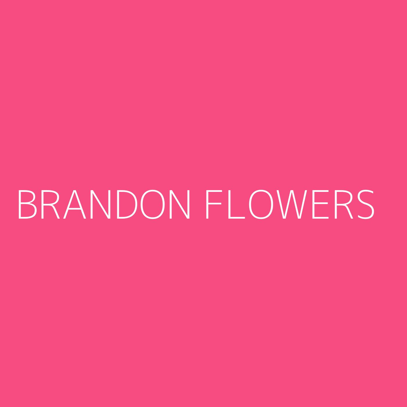 Brandon Flowers Playlist Artwork