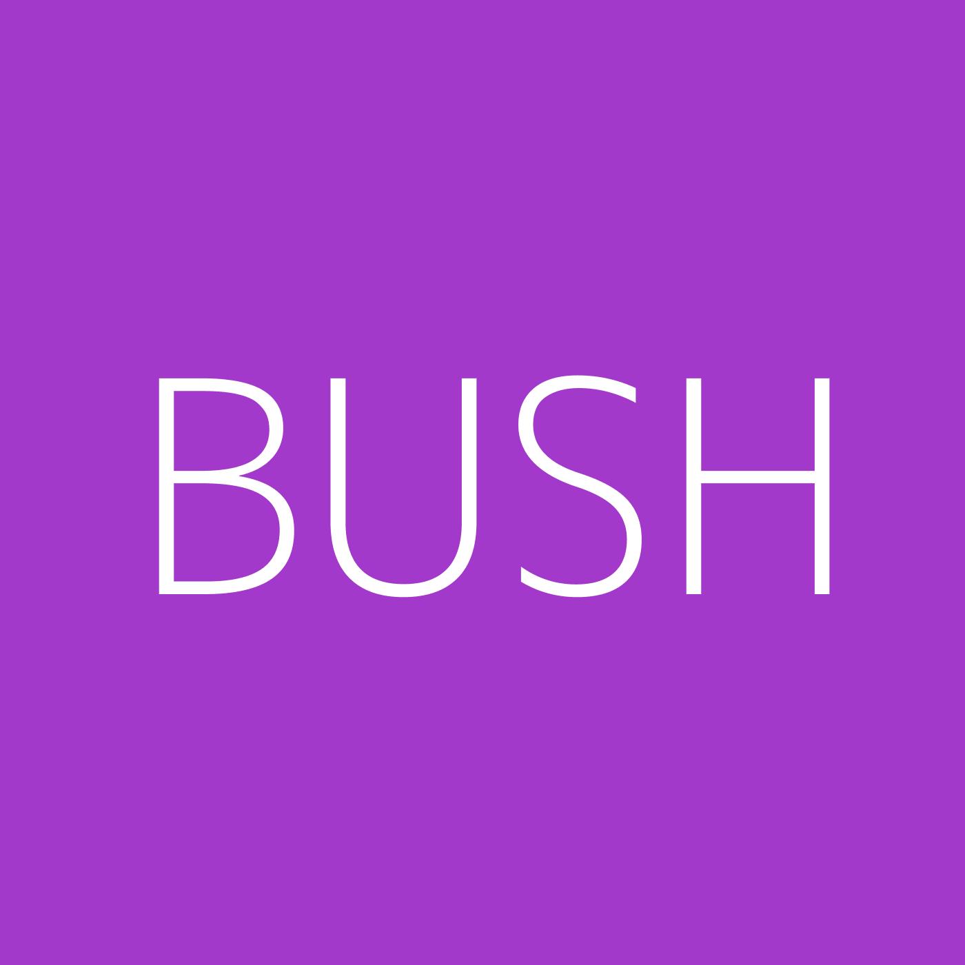 Bush Playlist Artwork