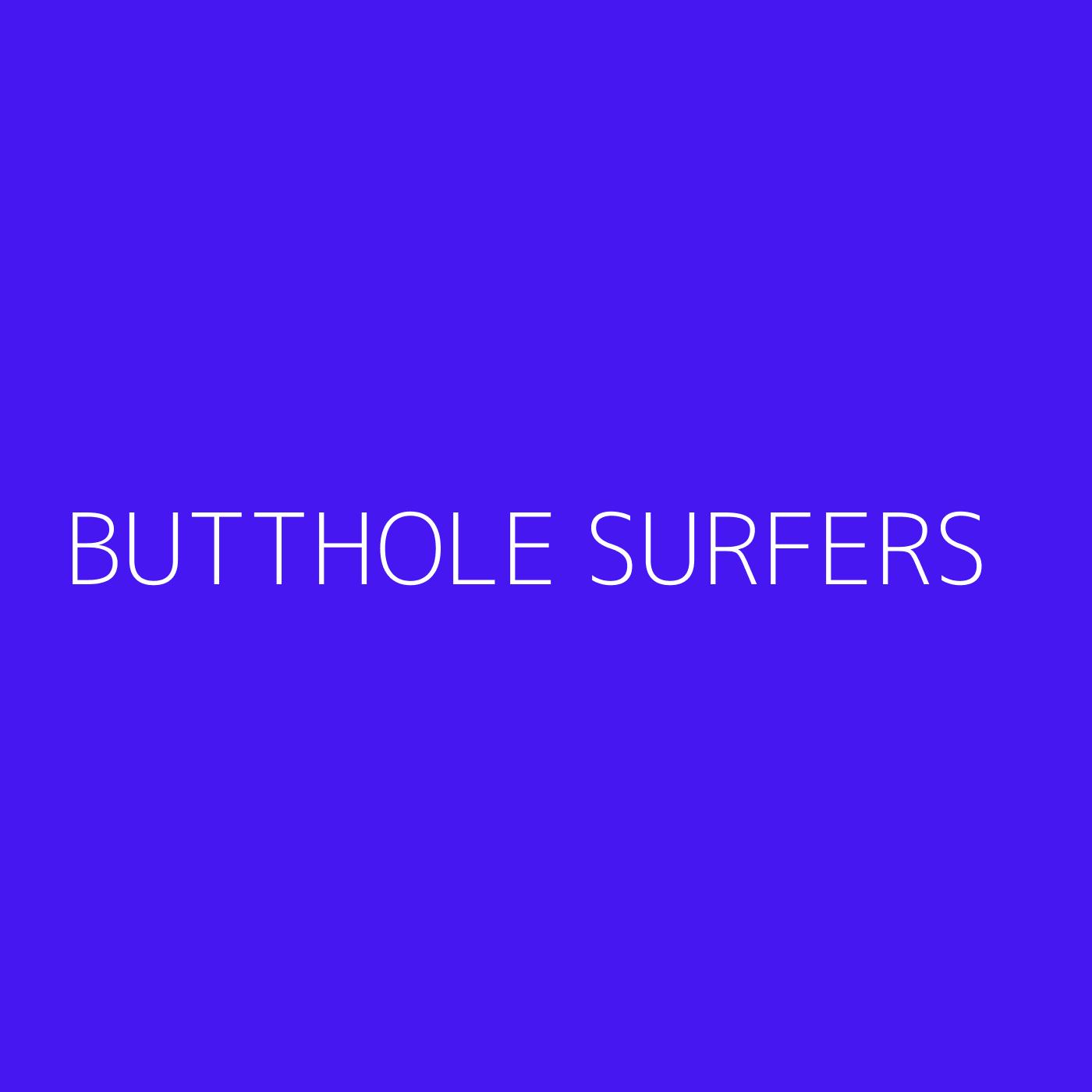 Butthole Surfers Playlist Artwork