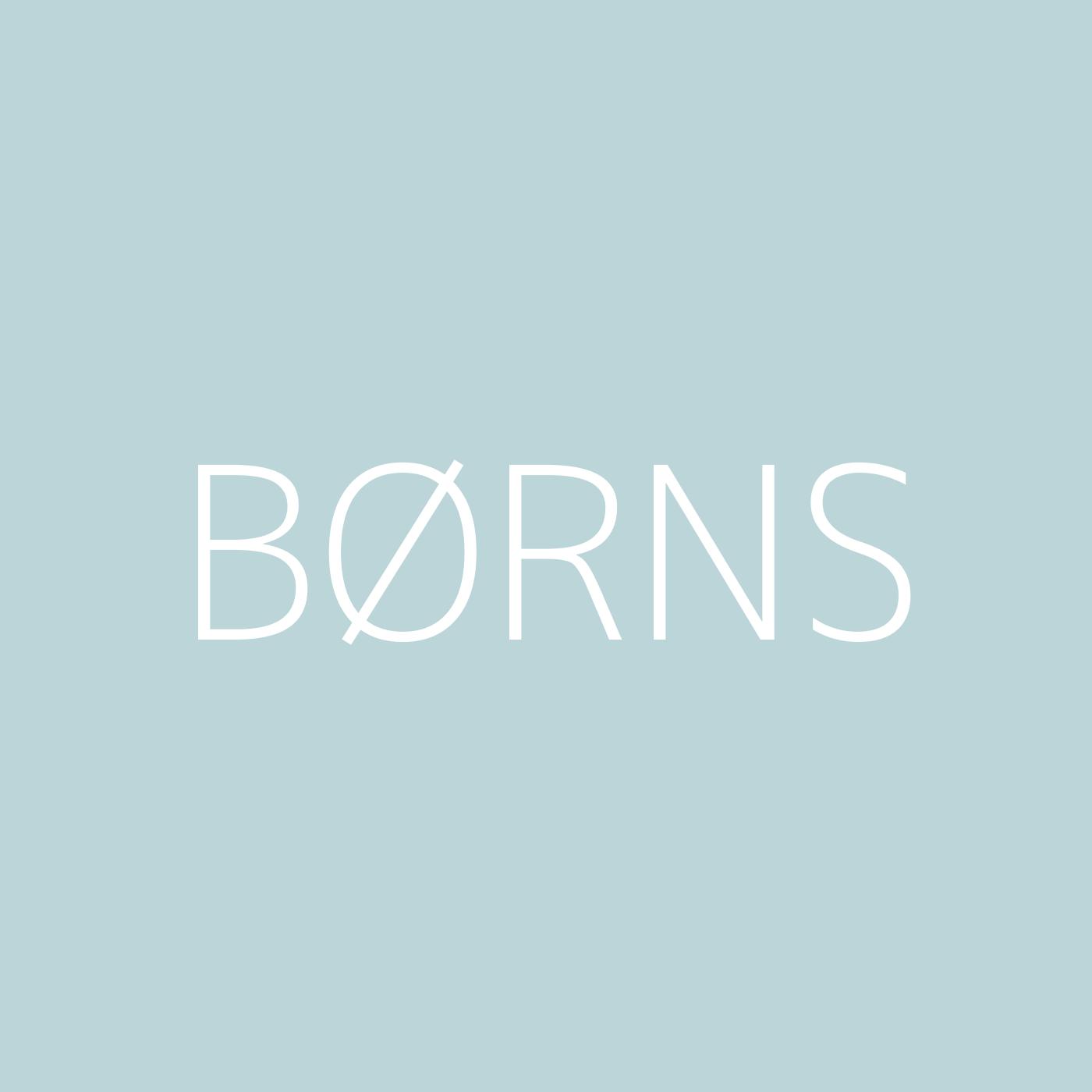 BØRNS Playlist Artwork