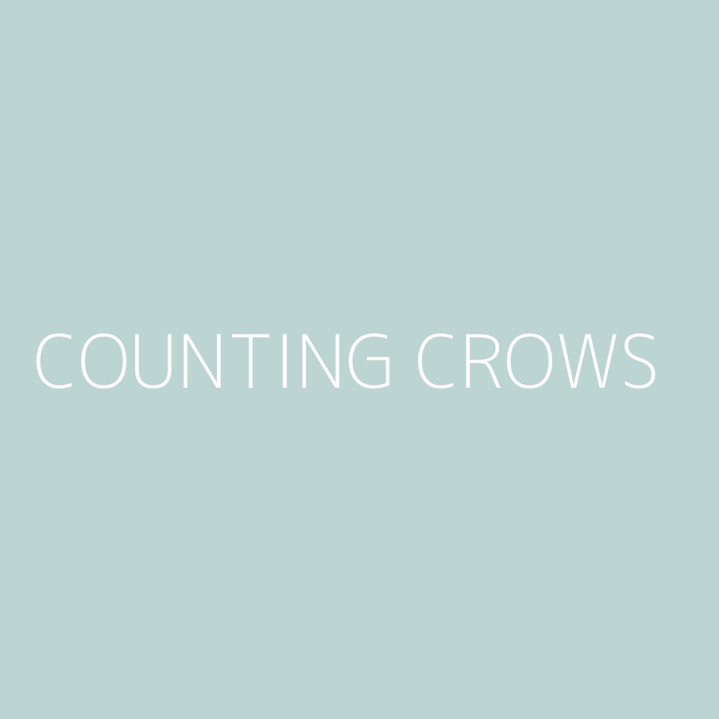 Counting Crows Playlist Artwork