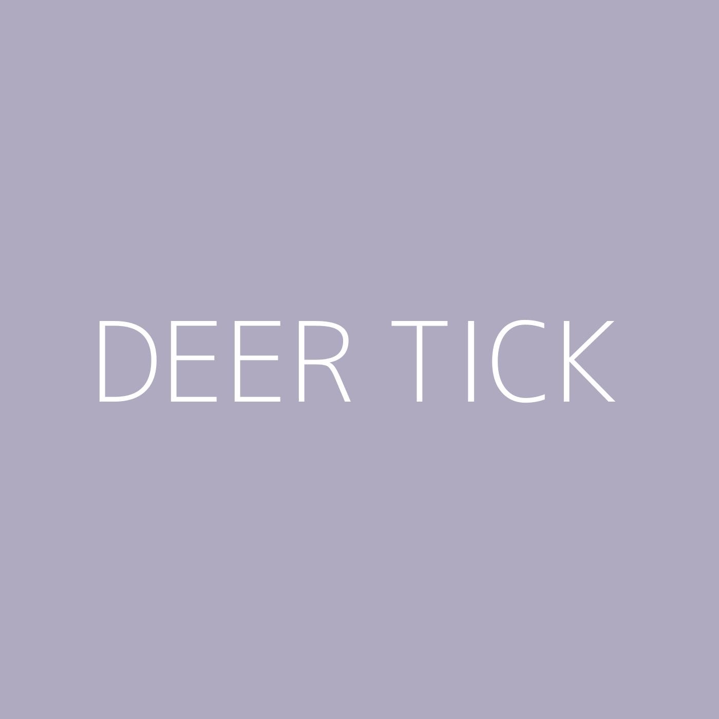 Deer Tick Playlist Artwork