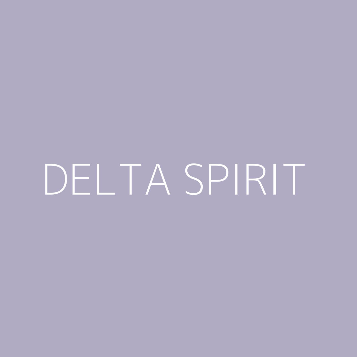 Delta Spirit Playlist Artwork