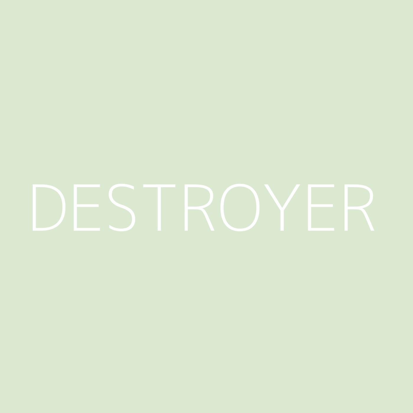 Destroyer Playlist Artwork