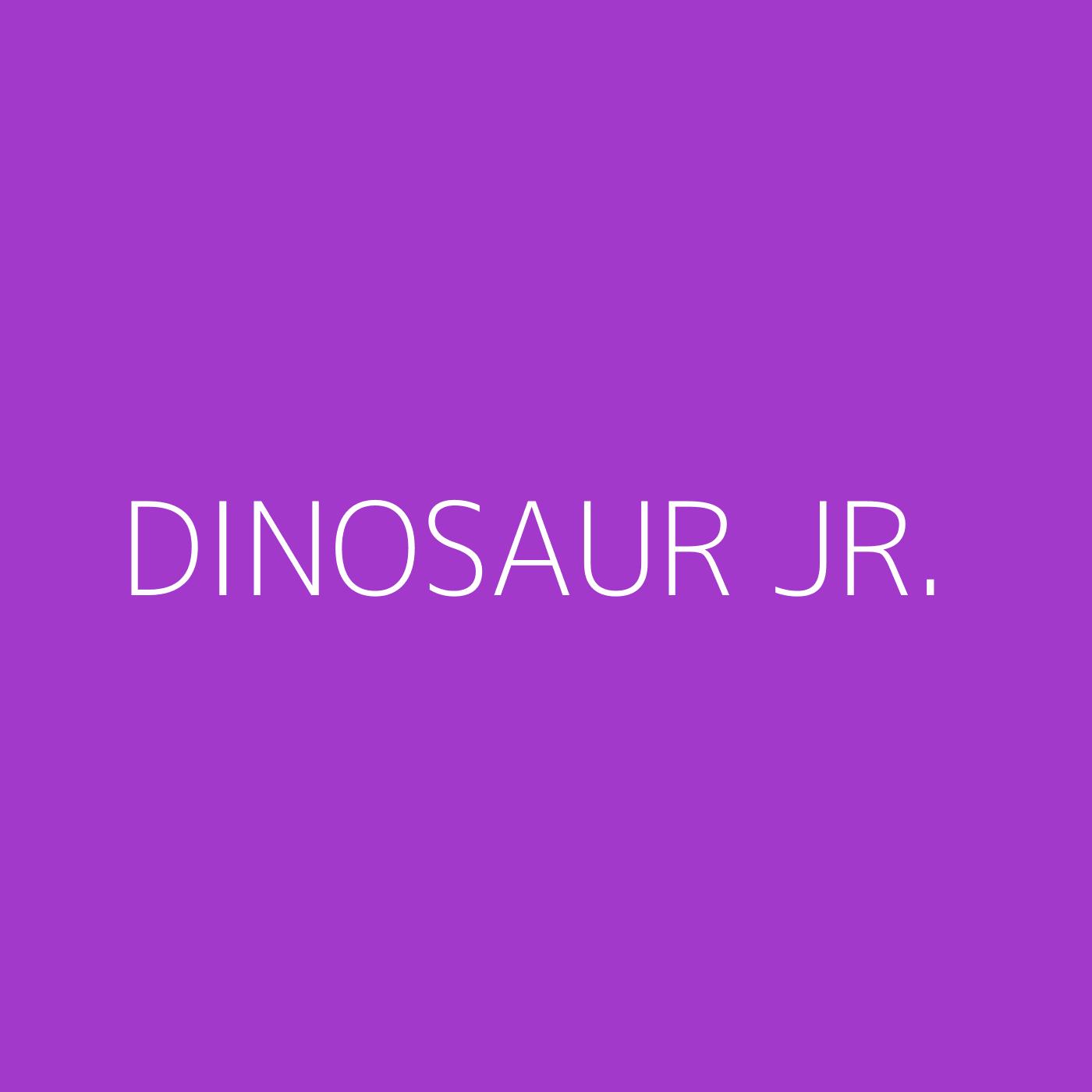 Dinosaur Jr. Playlist Artwork