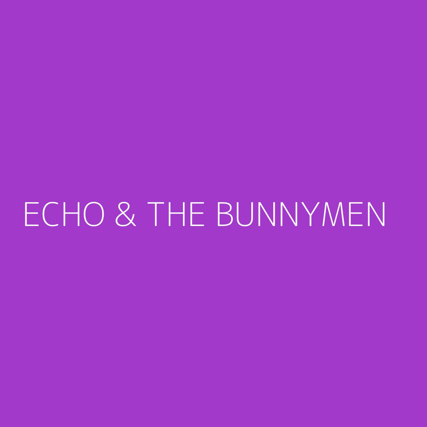 Echo & the Bunnymen Playlist Artwork