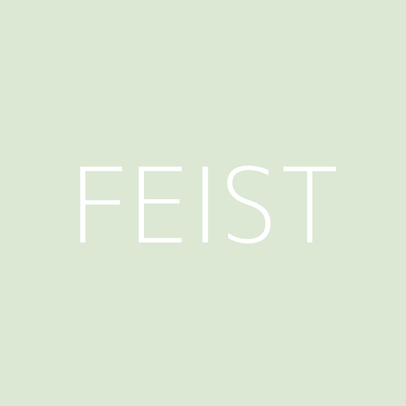 Feist Playlist Artwork