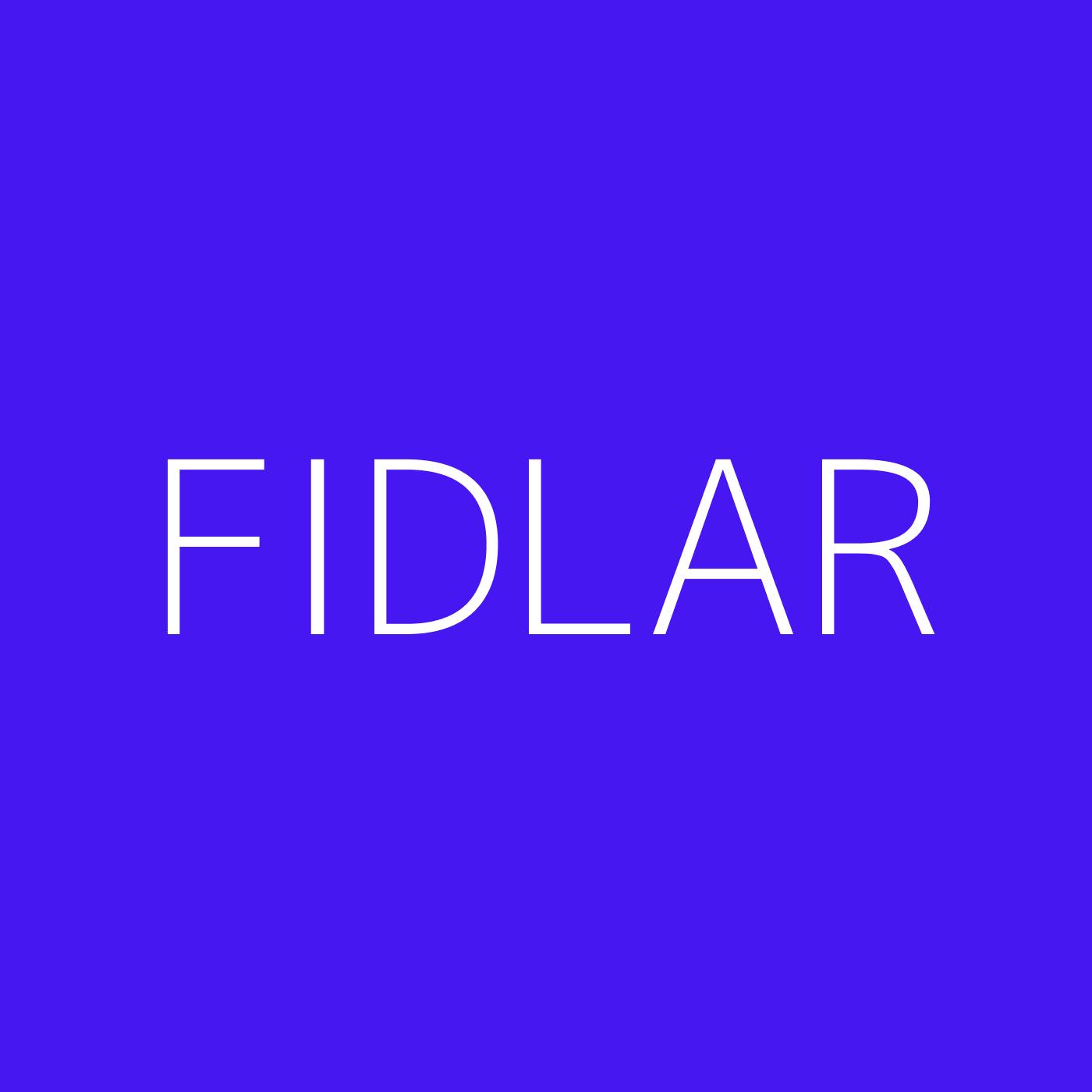 FIDLAR Playlist Artwork