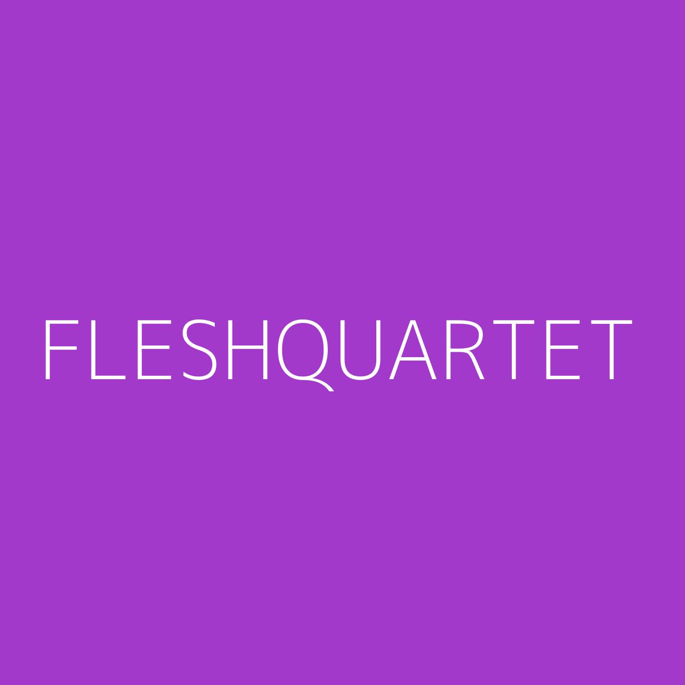 Fleshquartet Playlist Artwork