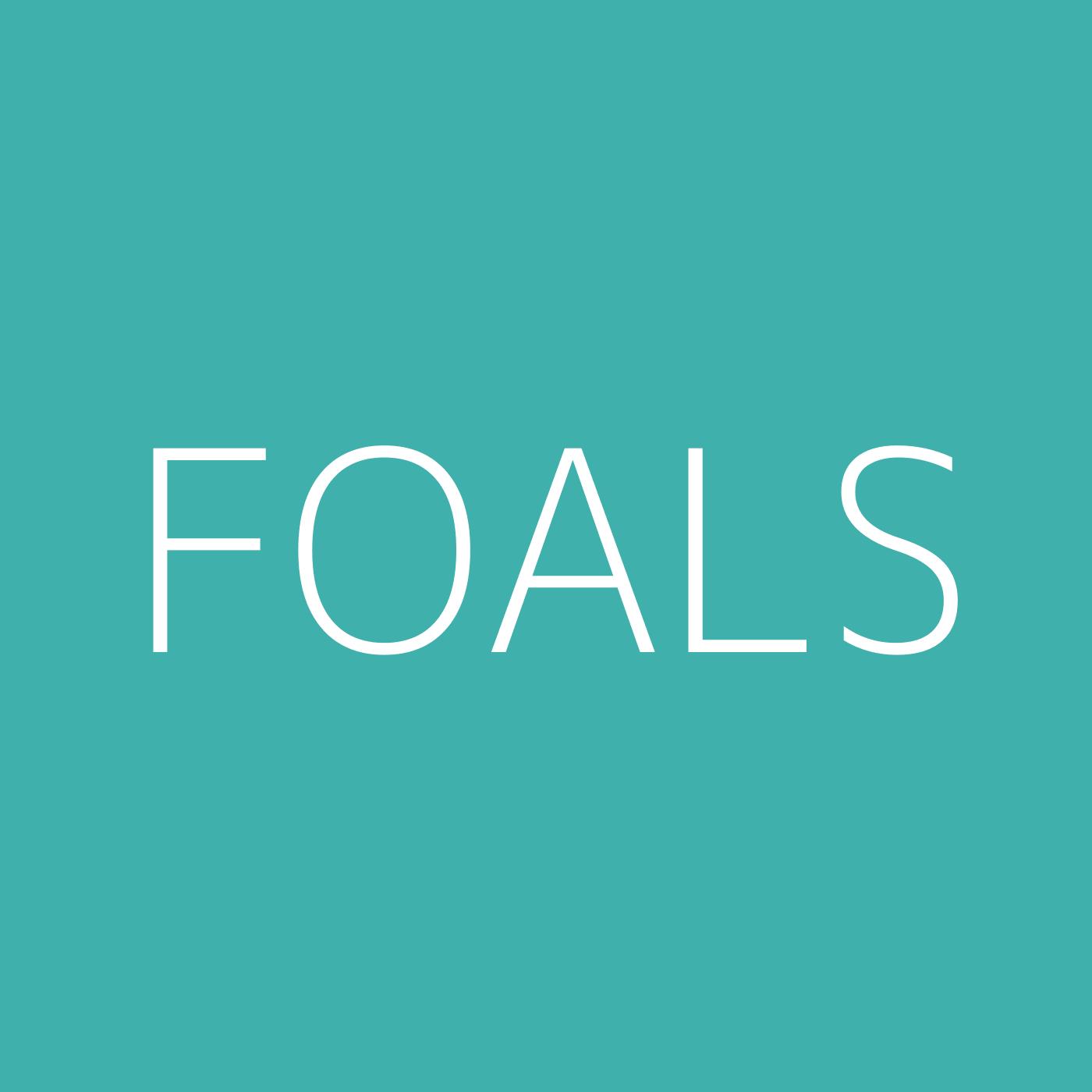 Foals Playlist Artwork