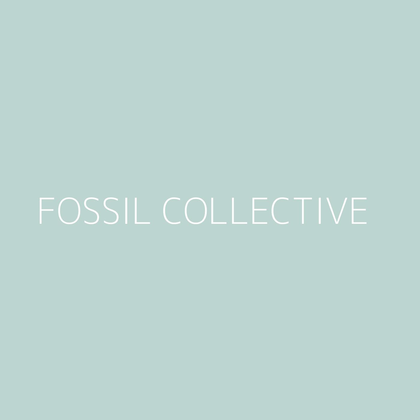 Fossil Collective Playlist Artwork