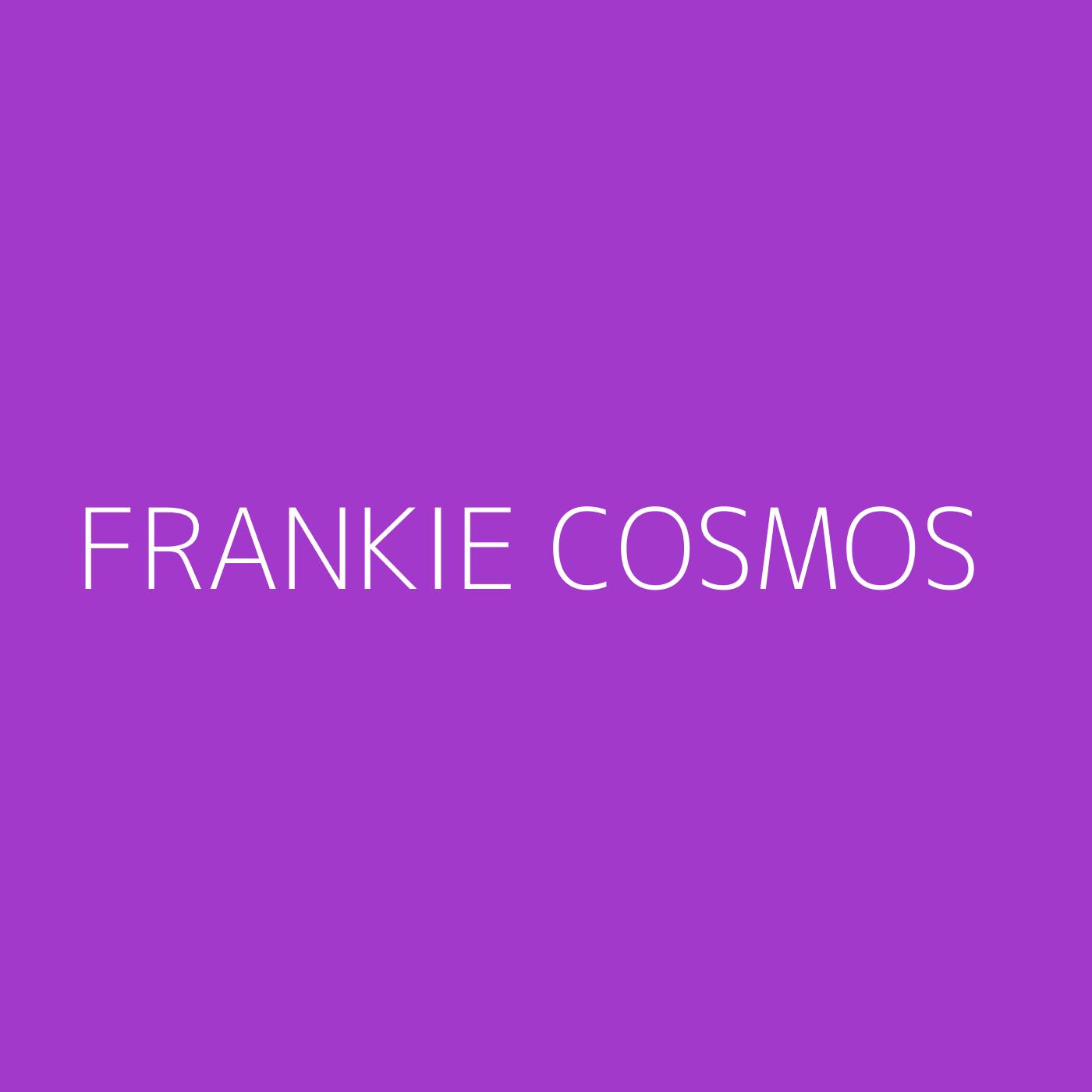 Frankie Cosmos Playlist Artwork