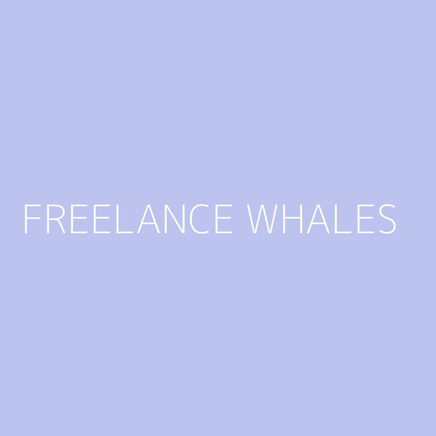 Freelance Whales Playlist Artwork