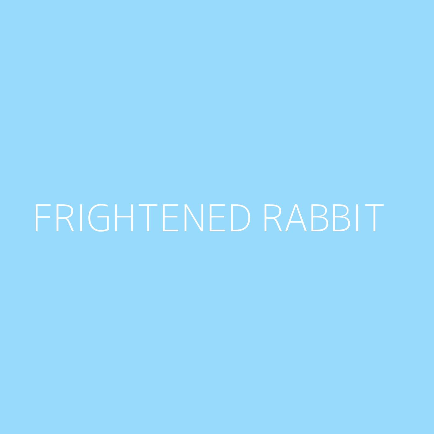 Frightened Rabbit Playlist Artwork