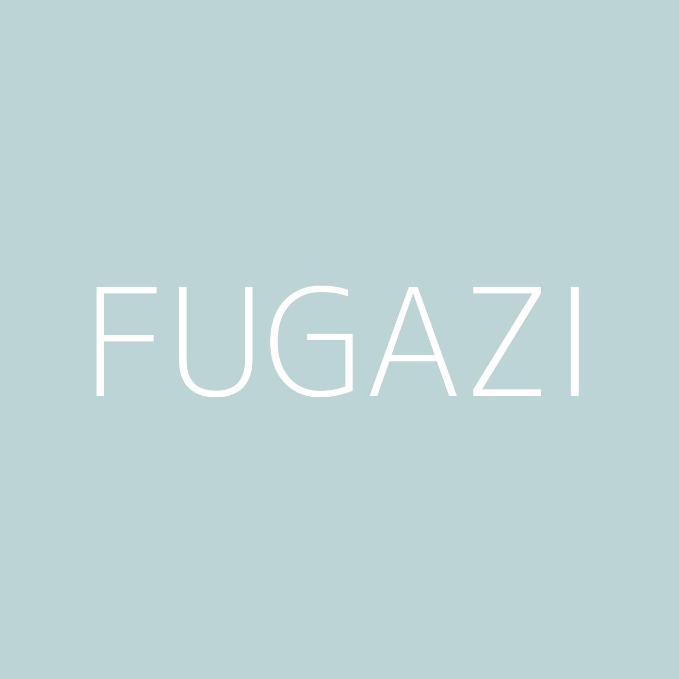 Fugazi Playlist Artwork