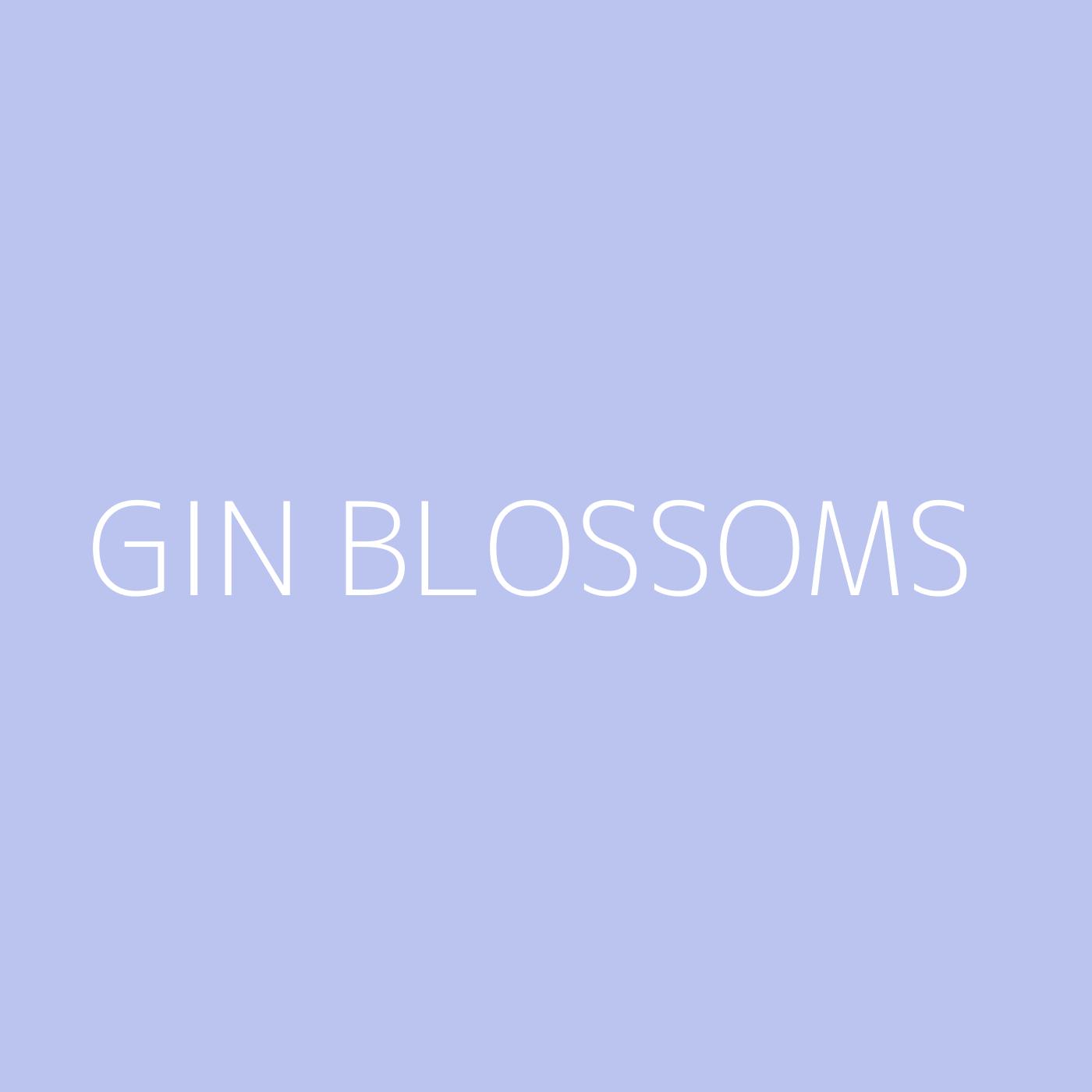 Gin Blossoms Playlist Artwork