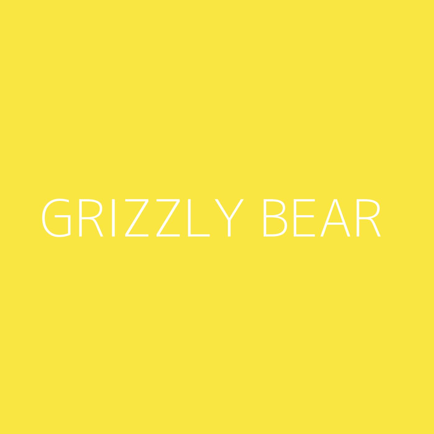 Grizzly Bear Playlist Artwork