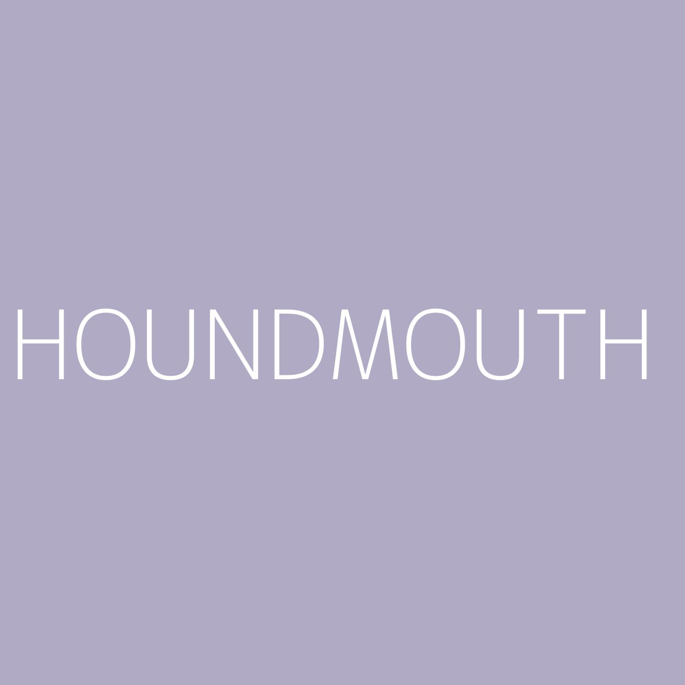 Houndmouth Playlist Artwork