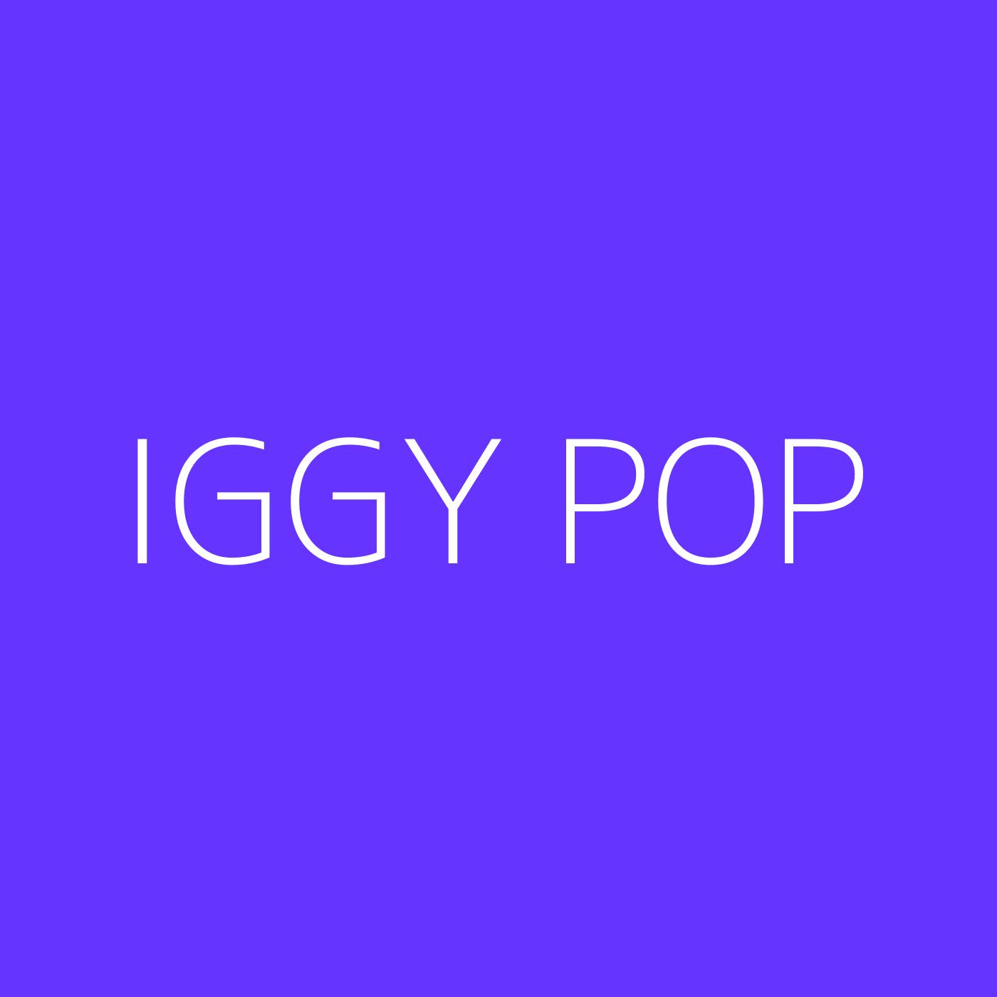 Iggy Pop Playlist Artwork