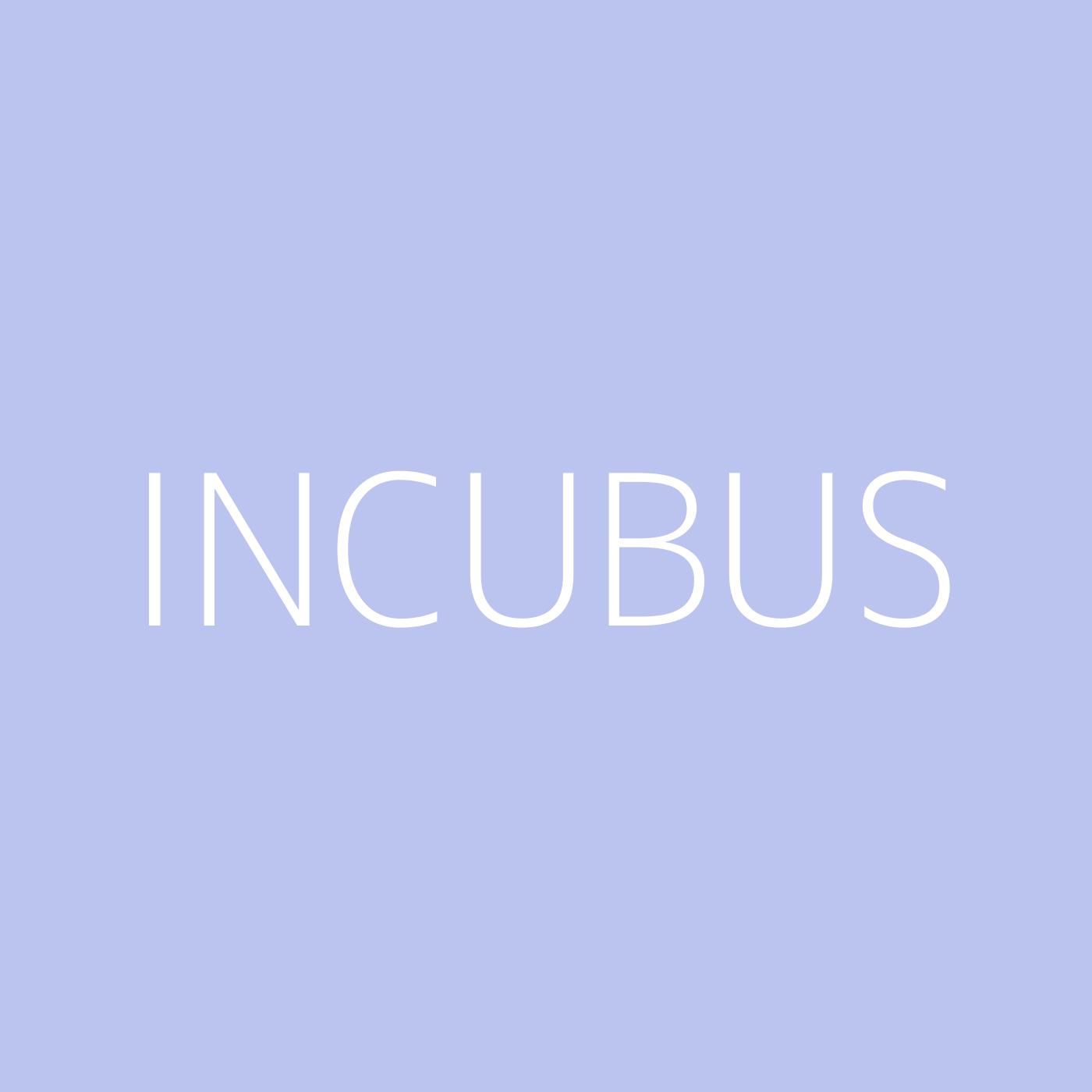 Incubus Playlist Artwork