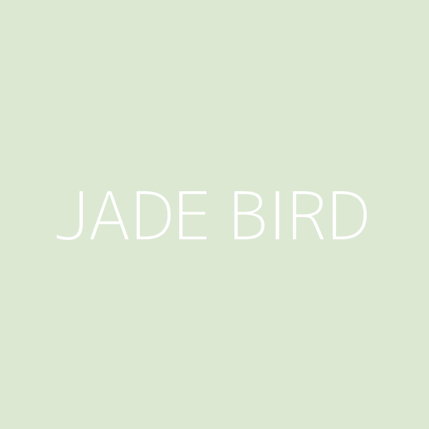 Jade Bird Playlist Artwork