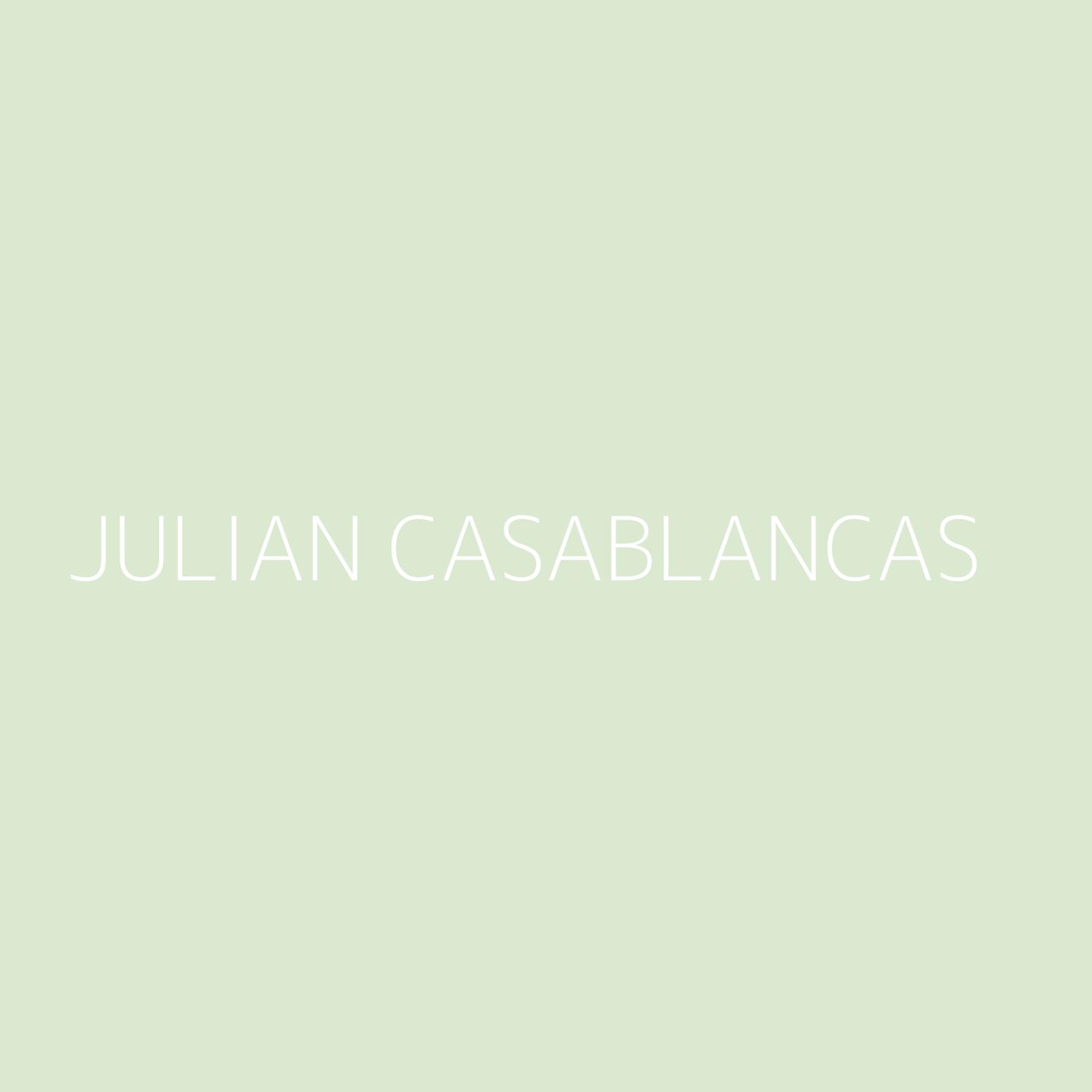 Julian Casablancas Playlist Artwork