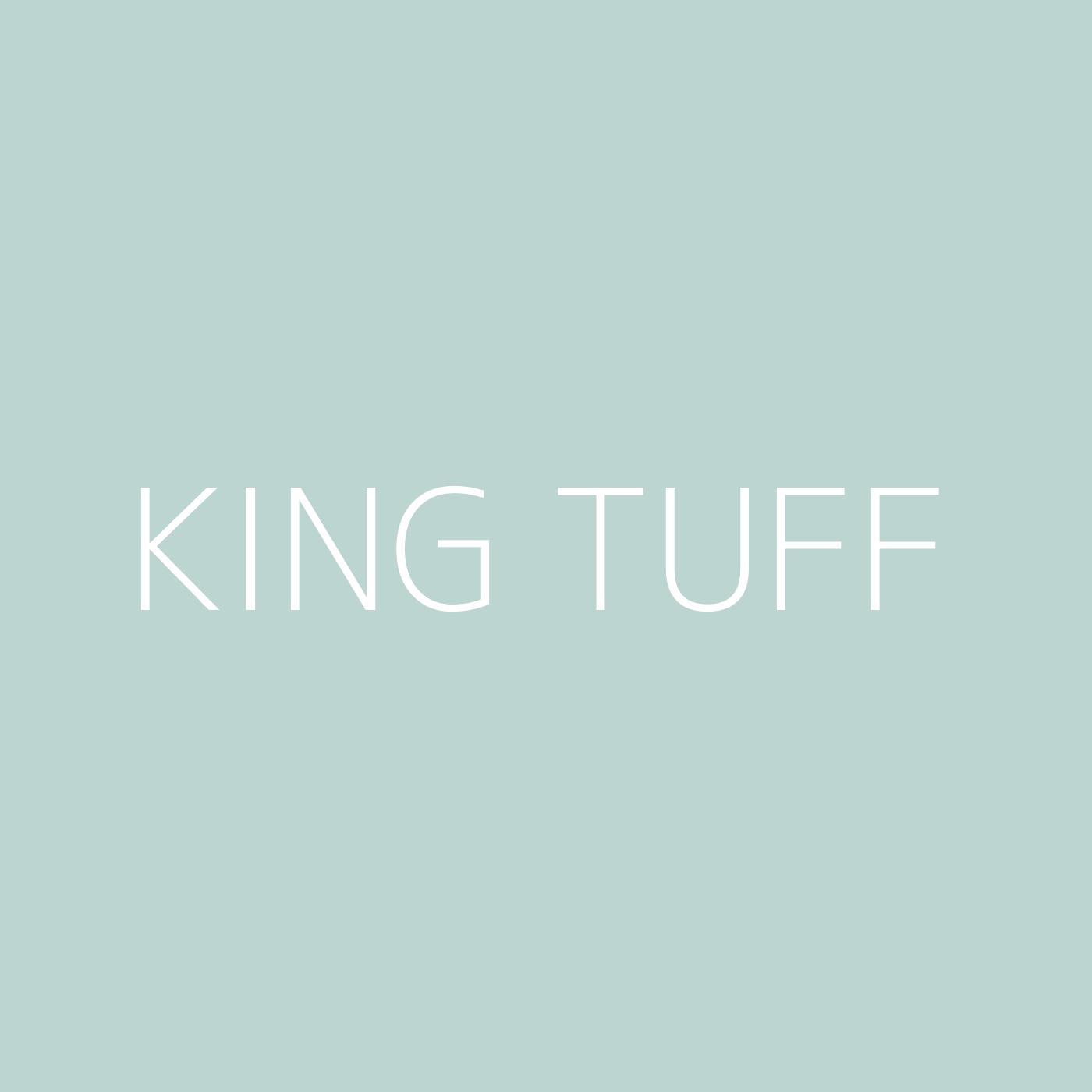 King Tuff Playlist Artwork