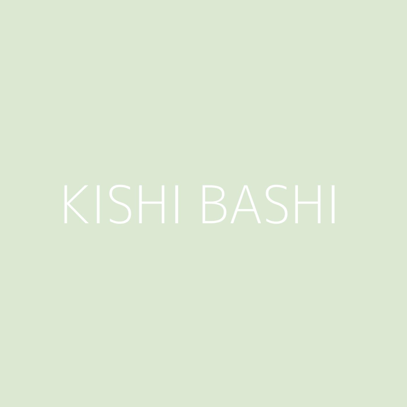 Kishi Bashi Playlist Artwork