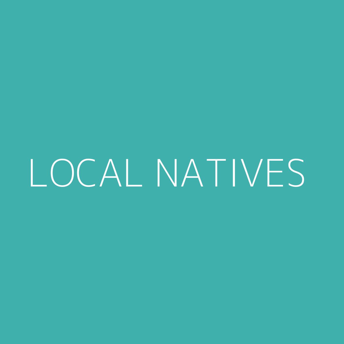 Local Natives Playlist Artwork