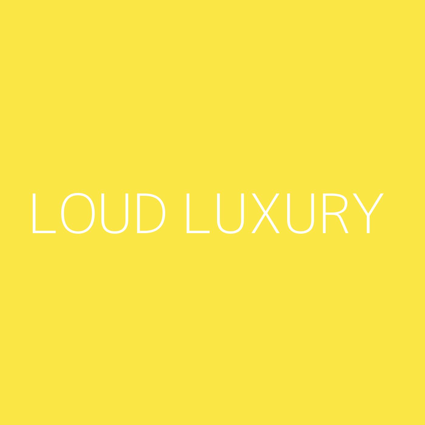 Loud Luxury Playlist Artwork