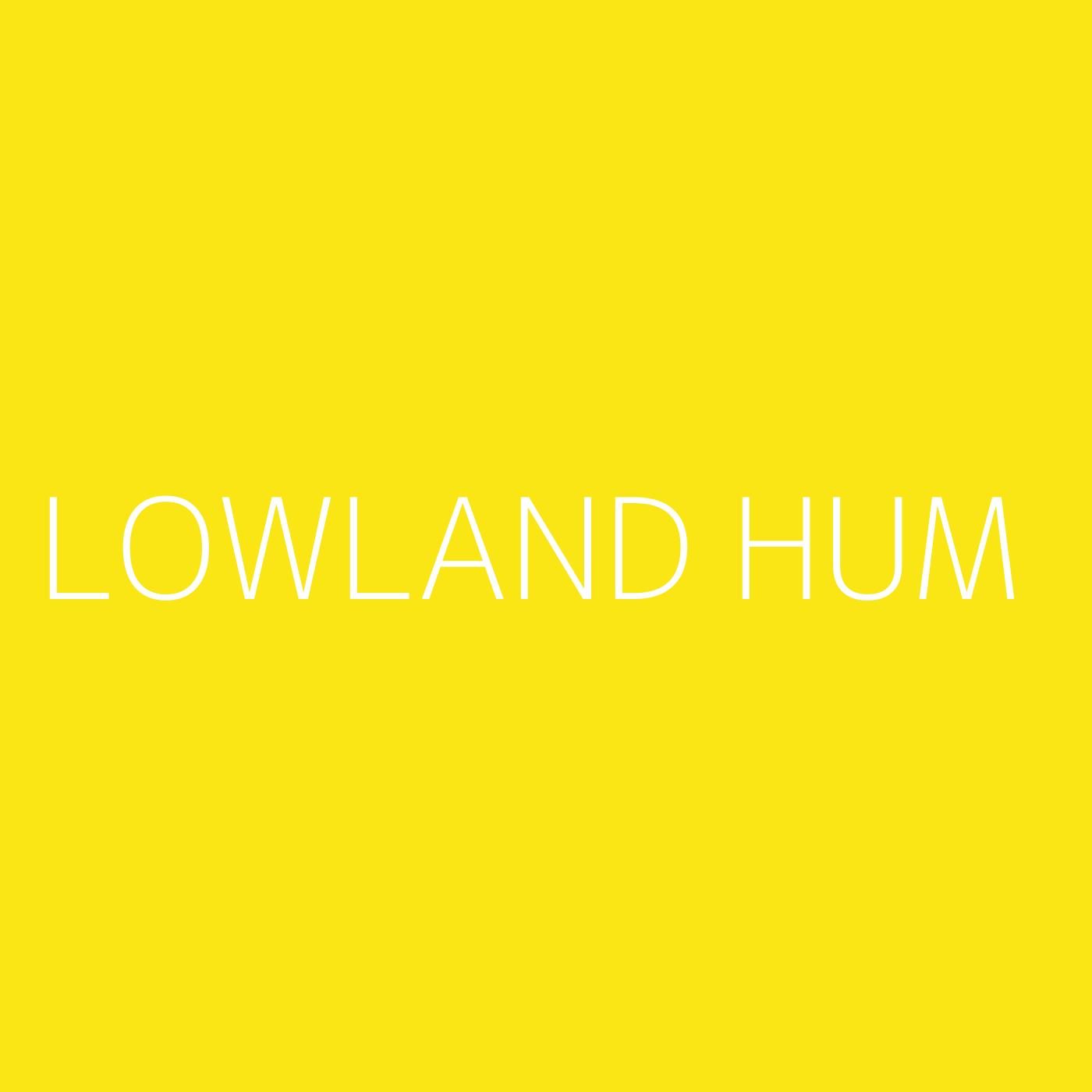 Lowland Hum Playlist Artwork