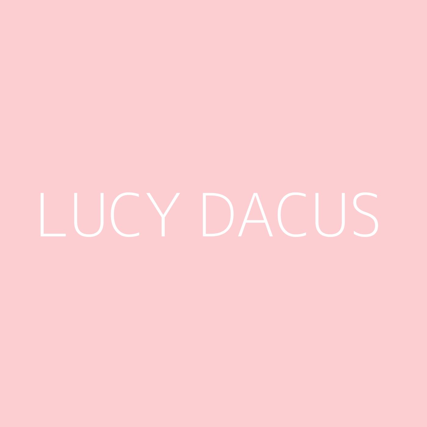 Lucy Dacus Playlist Artwork