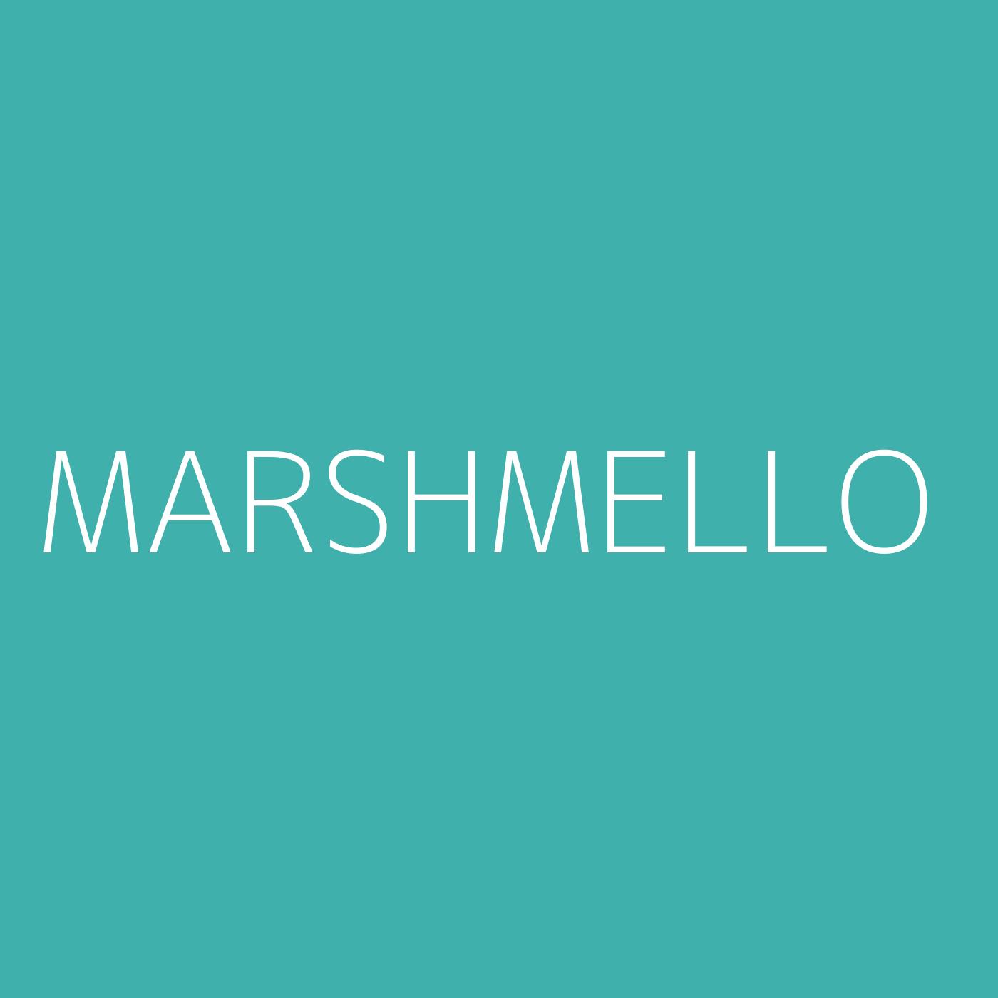 Marshmello Playlist Artwork